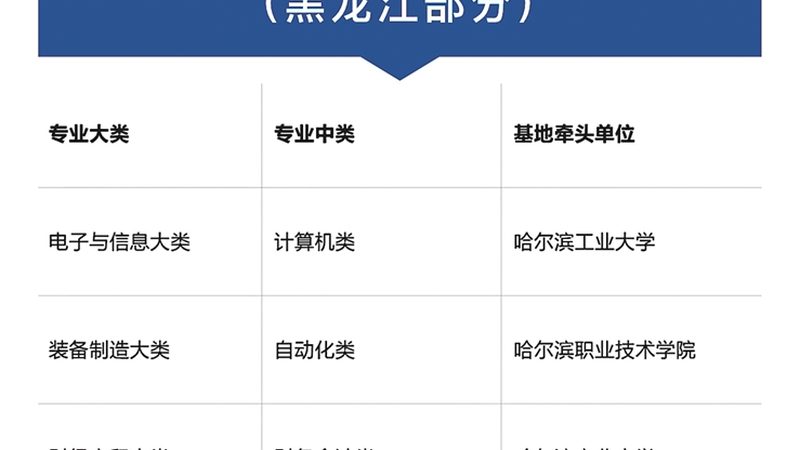 行业背景：会计行业的发展与市场需求